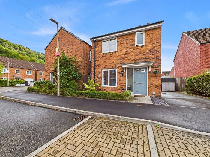 3 Bedroom Detached House For Sale In Llys Ynysgeinon, Godrergraig, SA9
