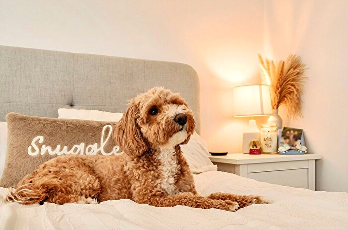 3 Bedroom Detached House For Sale In Lancelot Drive, Wincanton, Somerset, BA9