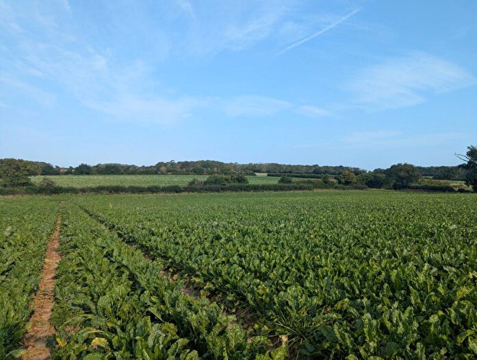 Land For Sale In Saxmundham, Suffolk, IP17