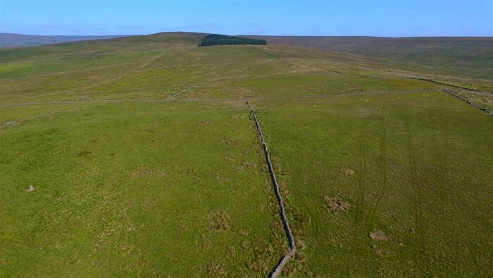 Land For Sale In Land At Blake Laws, Middlehope, St Johns Chapel, DL13
