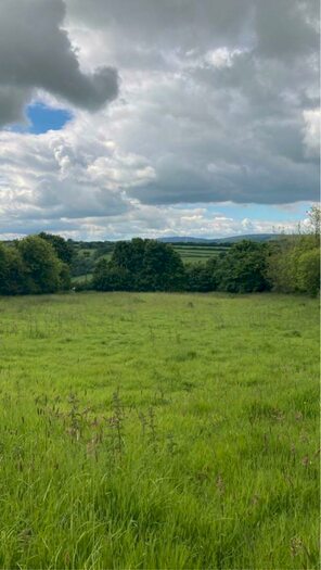 Land To Rent In , PL15