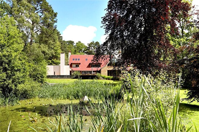 8 Bedroom Detached House To Rent In Fireball Hill, Ascot, Berkshire, SL5