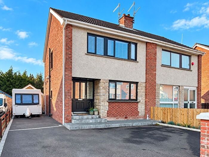 3 Bedroom Semi Detached House For Sale In Palmer Avenue, Lisburn, BT28