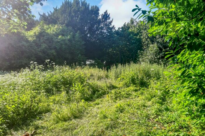 Land For Sale In Land On The North Side Of Cricketer's Cottage, Tangley, Andover, SP11