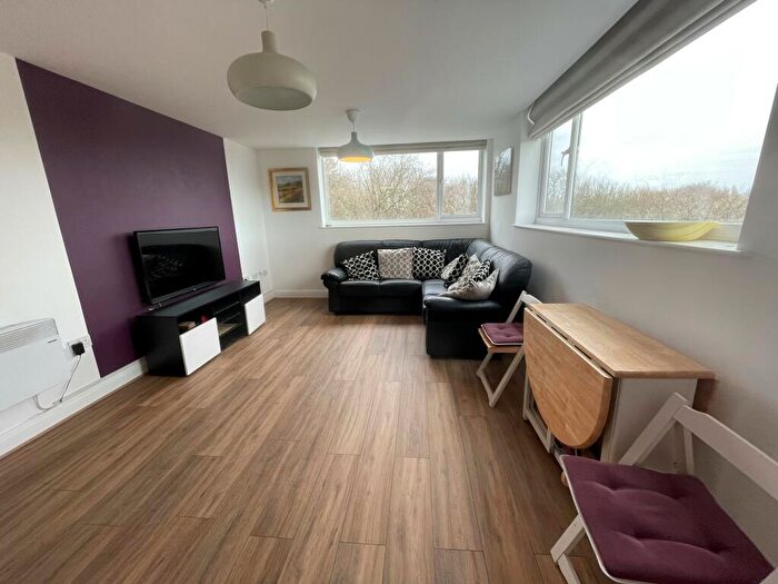 3 Bedroom Flat To Rent In Mere Bank, L17
