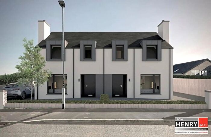 3 Bedroom Semi-Detached House For Sale In Willow Park, Dungannon, BT70