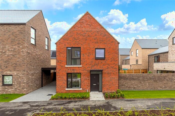 3 Bedroom Semi-Detached House To Rent In The Avenue, Cambridge, Cambridgeshire, CB5