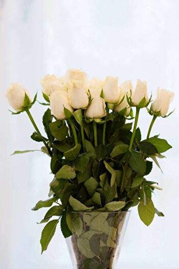 1 Bedroom Flat To Rent In Lamb's Passage, London, EC1Y