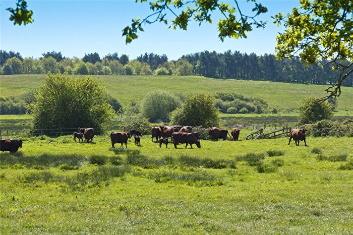 Land For Sale In Lot | Park Farm, Bylaugh, Norfolk, NR20