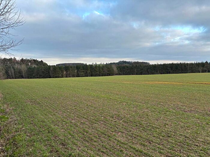 Land For Sale In Burgham, Morpeth, Northumberland, NE65