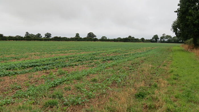 Farm Land For Sale In Parcel Of Productive Of Arable Land At Little Massingham, PE32