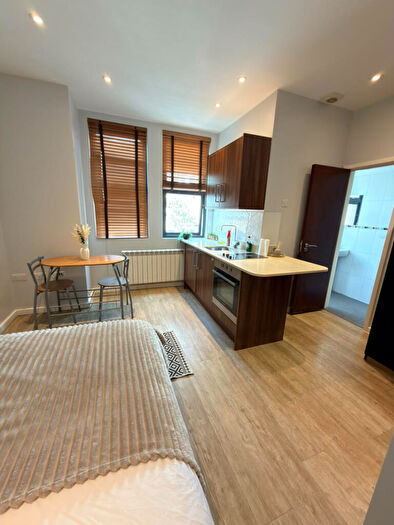 Studio To Rent In Ferndale Road, London, N15