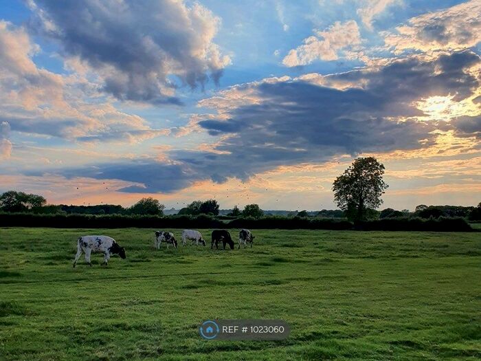 3 Bedroom Bungalow To Rent In The Hides, Alcester, B49