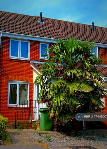 2 Bedroom Semi-Detached House To Rent In St. Thomas Close, Fareham, PO16