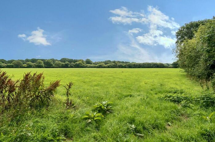Land For Sale In Dunkeswell, Honiton, Devon, EX14