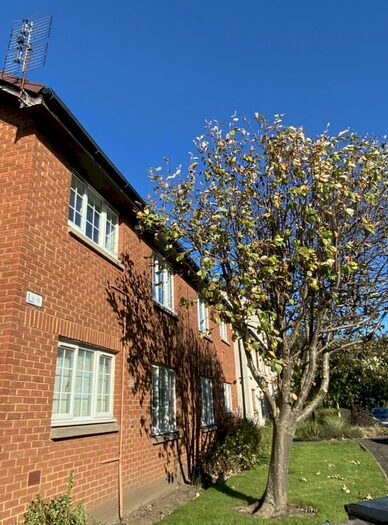 2 Bedroom Flat To Rent In Connaught Place, Edinburgh, EH6