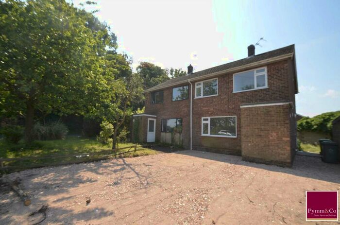 3 Bedroom Semi-Detached House To Rent In The Street, Norwich, NR10