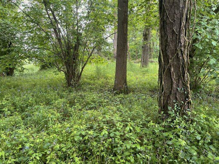 Farm Land For Sale In Brithem Bottom, Cullompton, EX15