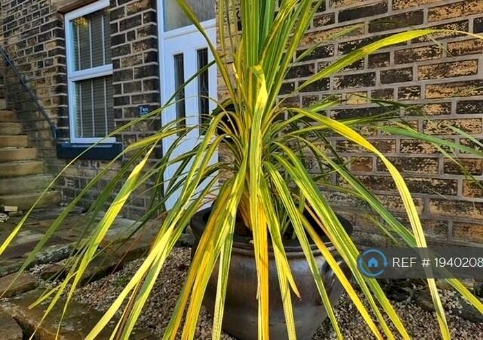 4 Bedroom Semi-Detached House To Rent In Victoria Place, Luddendenfoot, Halifax, HX2