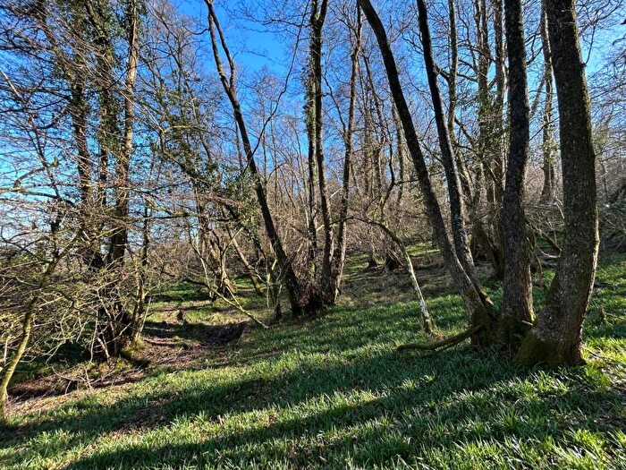 Land For Sale In Farway, Colyton, EX24