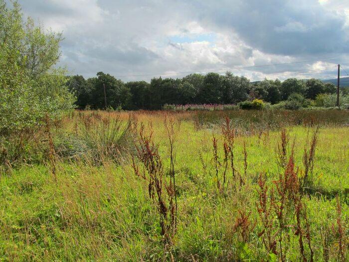 Land For Sale In Blacklee Brae, Bonchester Bridge, TD9