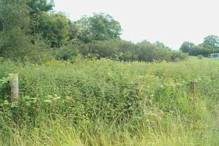 Land For Sale In Beulah, Newcastle Emlyn, Ceredigion, Qb, SA38