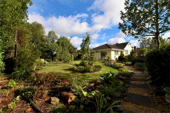 3 Bedroom Detached Bungalow To Rent In Manor Orchard, Taunton, TA1