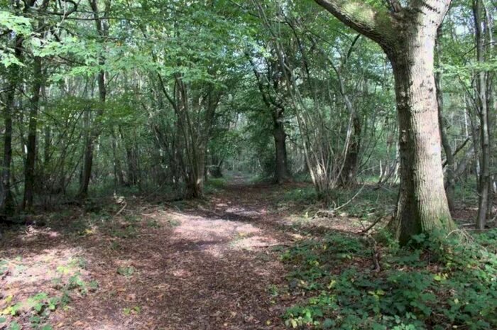 Land For Sale In Canterbury Road, Ashford, Kent TN27