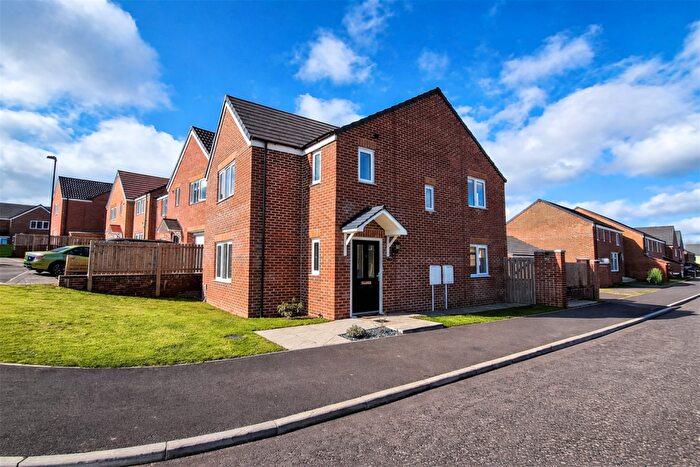 3 Bedroom Detached House For Sale In Plantain Close, Sunderland, SR3