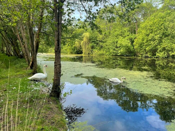 Farm Land For Sale In Horseshoe Lake, North Chine Drove, Blakeway, BS28