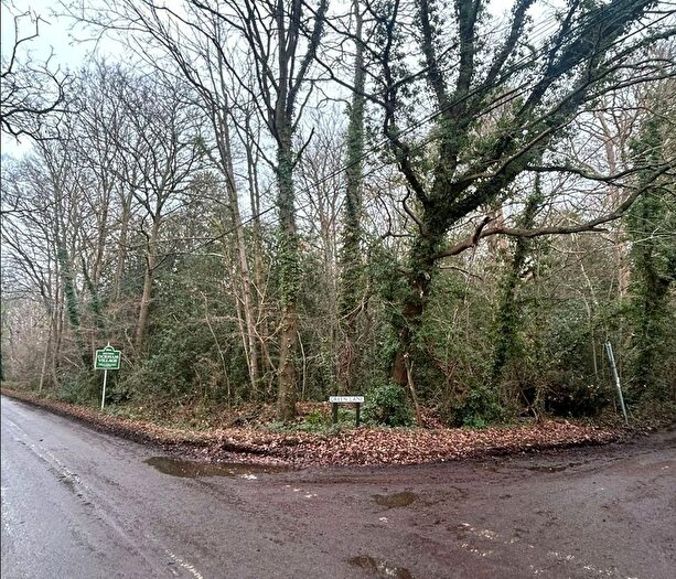 Land For Sale In Long Reach, Ockham, GU23