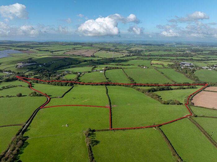 Farm Land For Sale In Troswell, North Petherwin, PL15