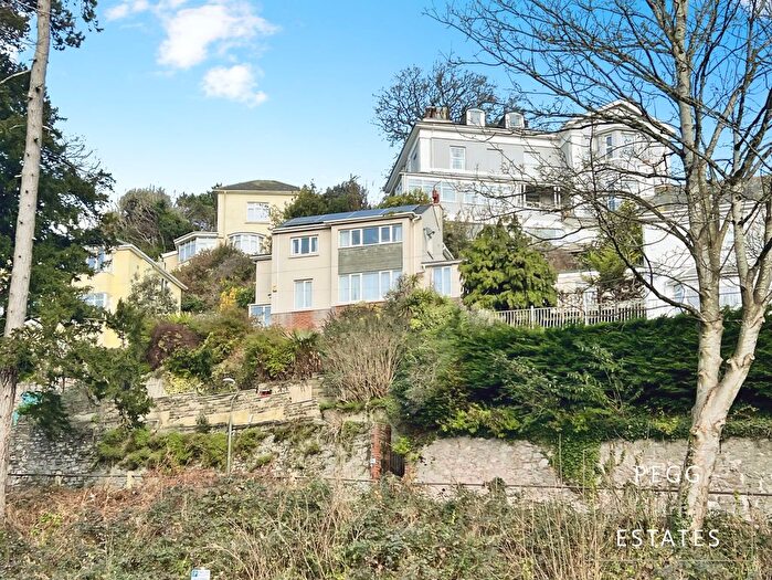 3 Bedroom Detached House For Sale In Thurlow Road, Torquay, TQ1