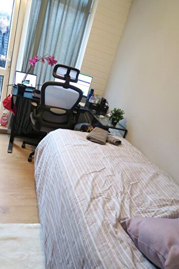 1 Bedroom Detached House To Rent In Norbiton Road, London, E14