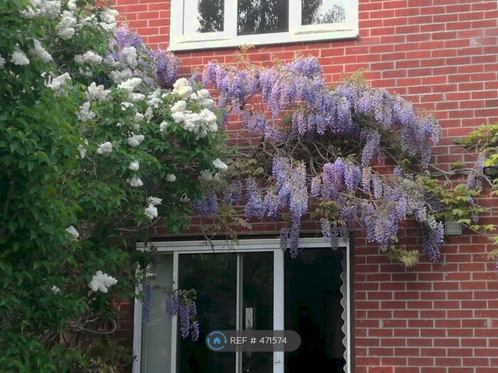 4 Bedroom Detached House To Rent In Chaney Road, Colchester, CO7