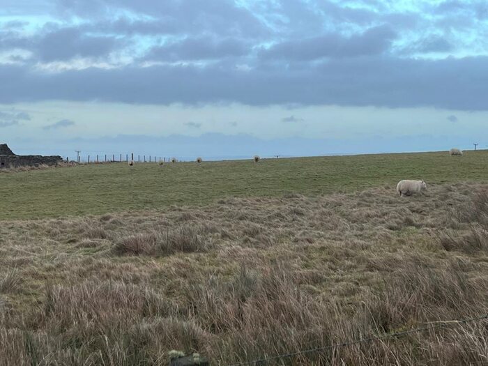 Land For Sale In Duncansby Building Plot, KW1