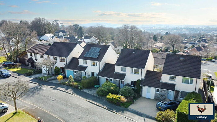 3 Bedroom Link Detached House For Sale In St Davids, Tavistock, PL19