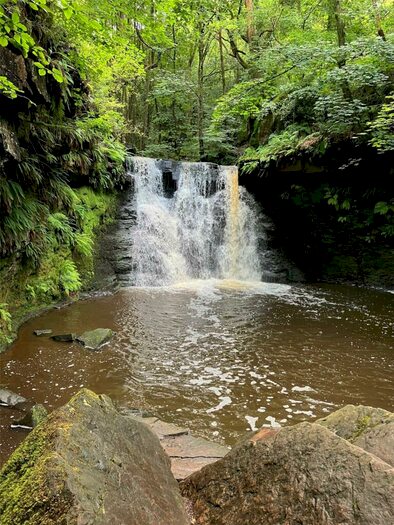 Land For Sale In Goit Stock Wood, Harden, Bingley, West Yorkshire, BD16