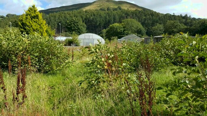 Land For Sale In Aberwheeler Nurseries, Near Bodfari, Denbighshire, LL16