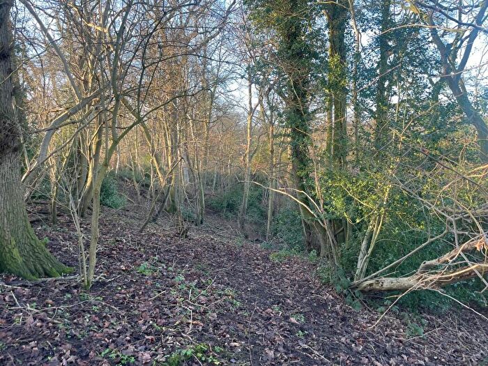 Land For Sale In Woodland At Swanbach, Nr Audlem, CW3