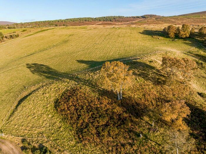 Land For Sale In Lot - Lairgandour, Daviot, Inverness, IV2