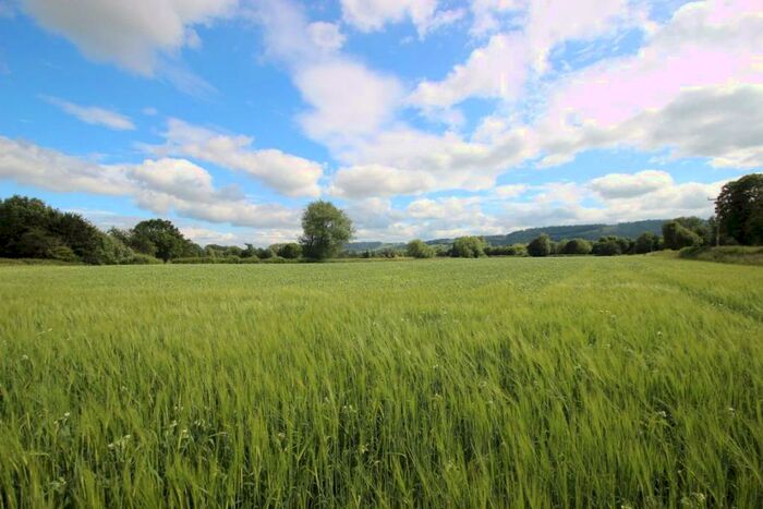 Farm Land For Sale In Letton, Hereford, HR3