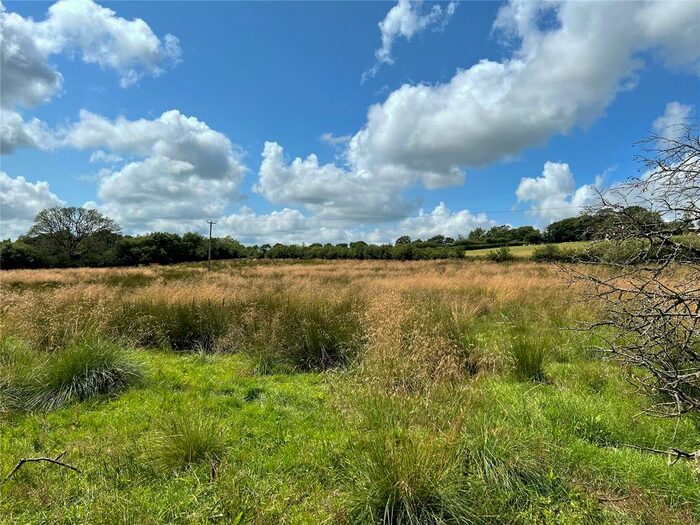 Land For Sale In Halwill, Beaworthy, Devon, EX21