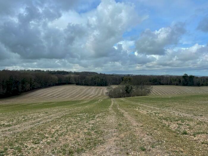 Land For Sale In Land Off Coombe Lane, GU32