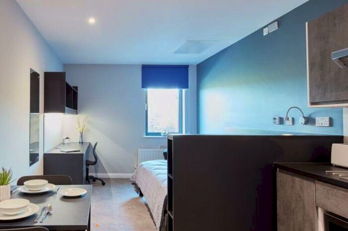 Studio To Rent In Alumno Falmer - Classic Accessible Studio, BN1