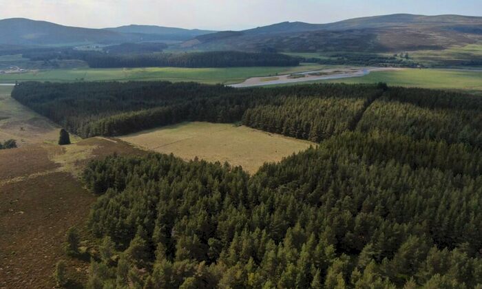 Land For Sale In Glenkirk Wood, Tomatin, IV13