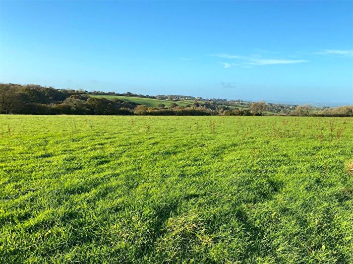 Land For Sale In Lewdown, Okehampton, Devon, EX20