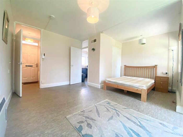 Studio To Rent In Penshurst Road, Hackney, E9 - Photo 2