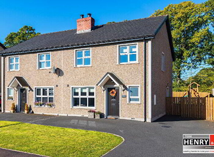 3 Bedroom Semi-Detached House For Sale In Derrywinnin Heights, Dungannon, BT71