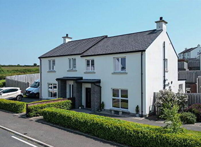 3 Bedroom Semi-Detached House For Sale In Saul Acre View, Downpatrick, BT30